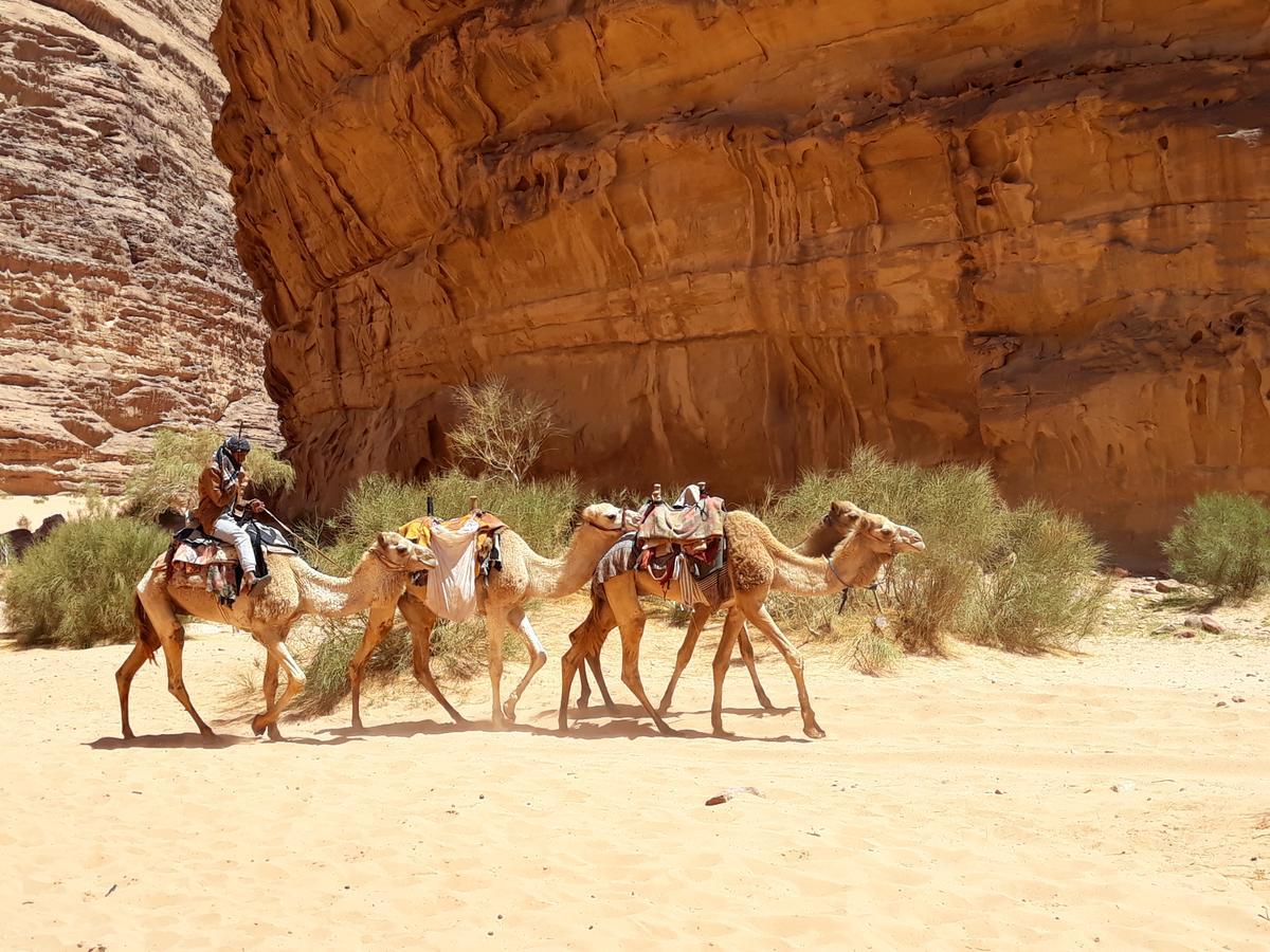 Martian Desert Camp Wadi Rum Eksteriør billede
